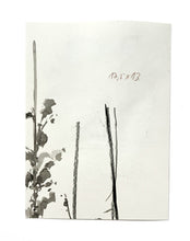 Laden Sie das Bild in den Galerie-Viewer, FALLING WATER (Original)