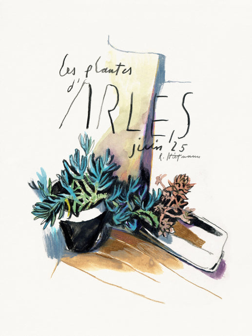 LES PLANTES D'ARLES